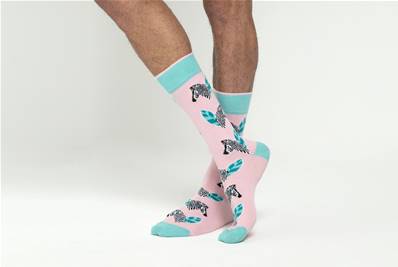 CHAUSSETTES ZEBRE HOMME