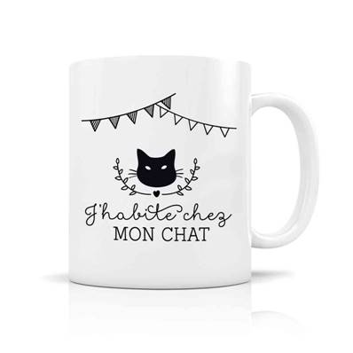 MUG + BOITE J'HABITE CHEZ MON CHAT