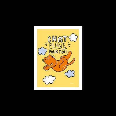 AFFICHE AGE CHAT PLANE POUR MOI