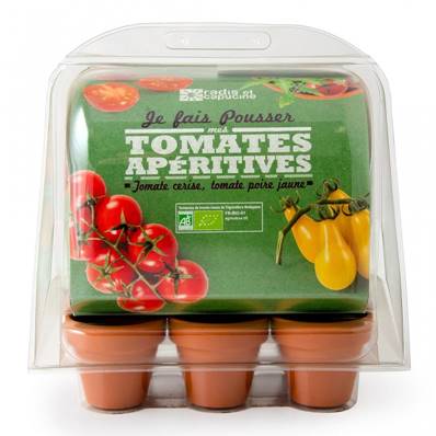 SERRE 6 POTS TOMATES BIO