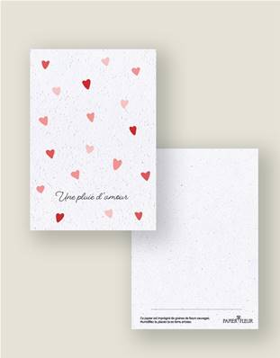 CARTE A PLANTER - PLUIE DE COEURS